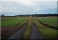 Farm track near Clifton