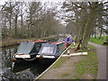 Narrow Boats at the Basingstoke Canal Visitors Centre at Mytchett, Frimley