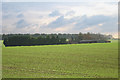 View across fields to Flint Farm