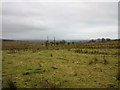 Slievenacloy Nature Reserve