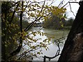 River Medway near Little Preston