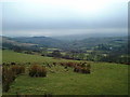 View from and of the Kerry hills