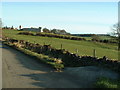 Looking along Pond Lane from Little Lepton