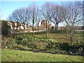 Roundabout and River, Chingford Hatch