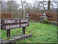 H4864 : Entrance to Seskinore Forest Park by Kenneth  Allen