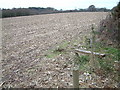 Farmland, Godwinscroft, Hampshire