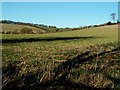 Rolling farmland, Smalldean