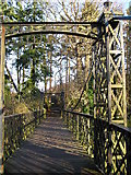 NS8246 : Footbridge at Crossford country park . by David Forrest