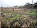 Walthamstow Marshes