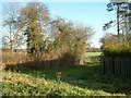 Footpath to Wheatfield