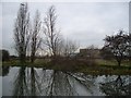 Poplars, raptor, marsh and sub-station..