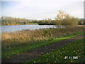 Tongwell Lake viewed in a south-easterly direction