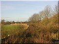 Old road west of Piercebridge, County Durham