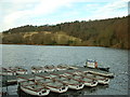 Kirkcaldy : Raith Lake