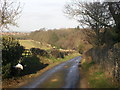 Deer Park wall, Forcett Park, near Richmond, North Yorkshire