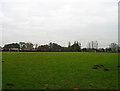 Playing fields, Birdham