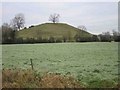 Panborough Hill