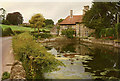 Barrow Gurney: millpond at Lower Barrow Mill