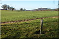 Footpath to Checkley