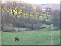 Valley of Lumb Dike with Fenay Bridge in the background.