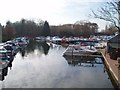 Walton Marina