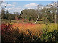 View over Savill Garden