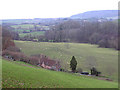 Cheddarmarsh cottages looking towards Weacombe