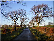 NS6450 : Country Road Near Drumbuie by Iain Thompson