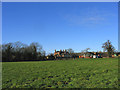 Great Warley Hall Farm - Christmas 2005