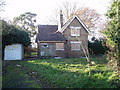 Derelict house in the park