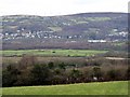 Flood plain of the River Tawe