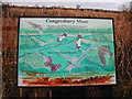 Congresbury Moor - Information Board