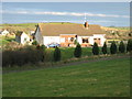 Rural homestead with conifers.