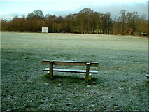 SE2808 : Cawthorne Cricket Pitch by Nigel Homer