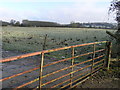 Countryside near Dodington Estate, South Gloucestershire