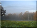 Epping Forest From Baldwins Hill