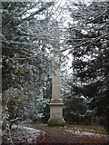 SP9310 : "Nell Gwyn's Monument" - Obelisk in Tring Park by Rob Farrow