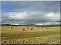 Fields between Newtonhill and Muchalls