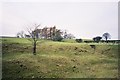 Sheep grazing at an old quarry