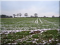 Winter Crops Near Millison