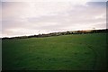 Looking south from Goose Green