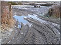 Tyre Tracks in the Mud