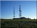 Radio Masts Above Bank Farm