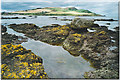 Foreshore at Bervie Bay