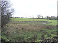 Legattigle Townland