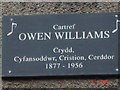 Owen Williams