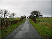 SD5255 : Country Road Lower Castle o' Trim by Michael Graham