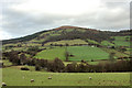 Looking towards Garway Hill