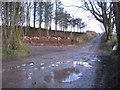 Wider Junction Required for Timber Harvest.