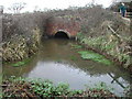 Railway bridge over rhyne